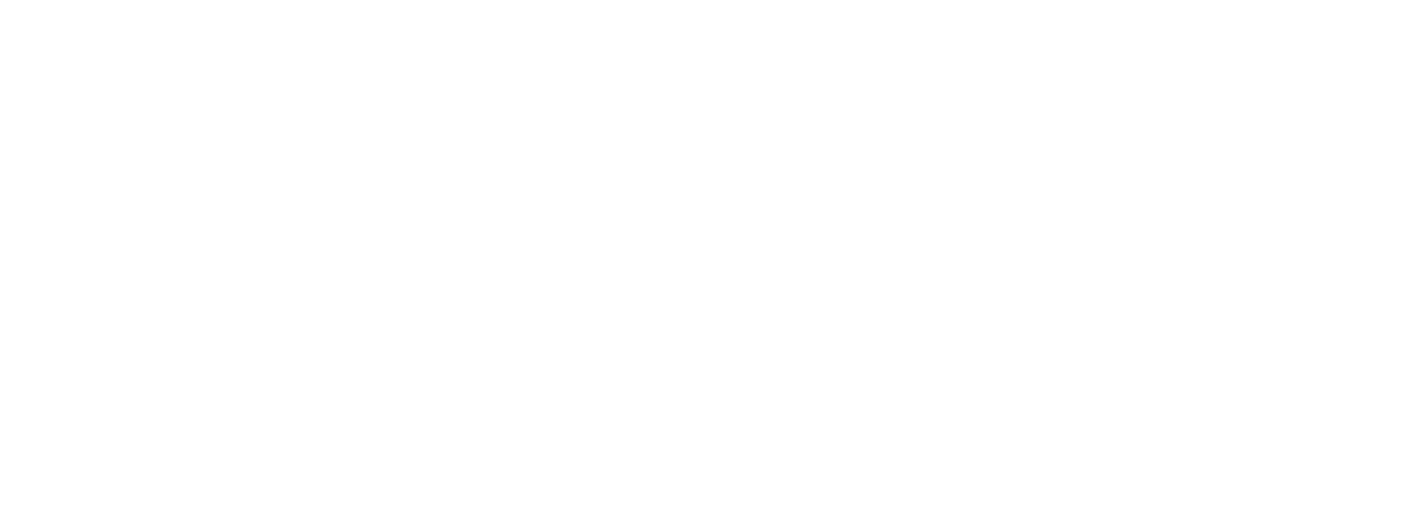 dreamz collections