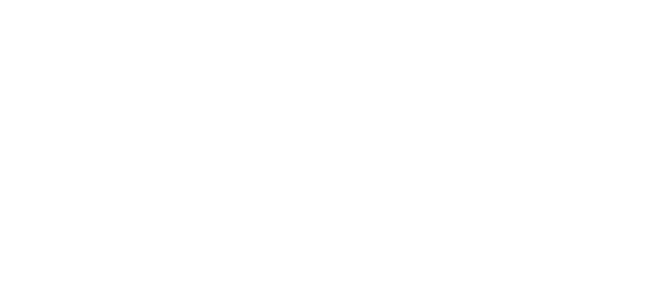 Hyundai XTeer