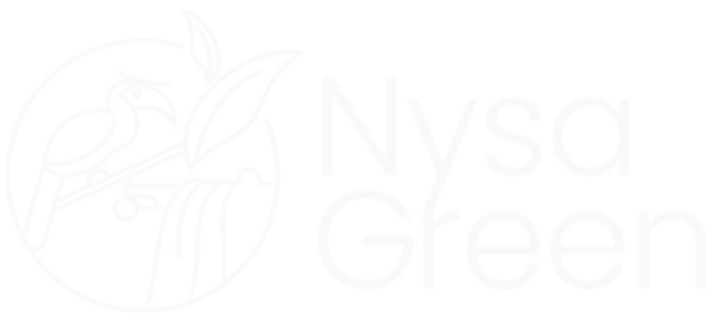 Nysa green logo