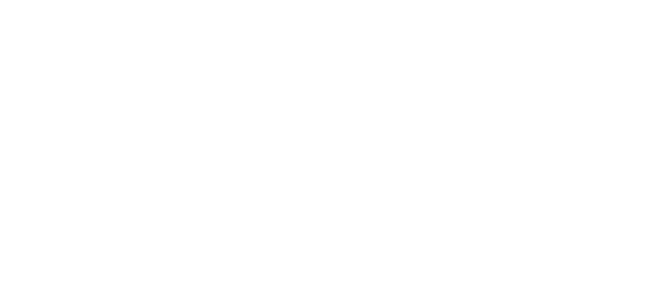 deneha logo